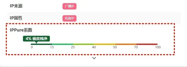 使用 IPPure 检测 IP 纯净度